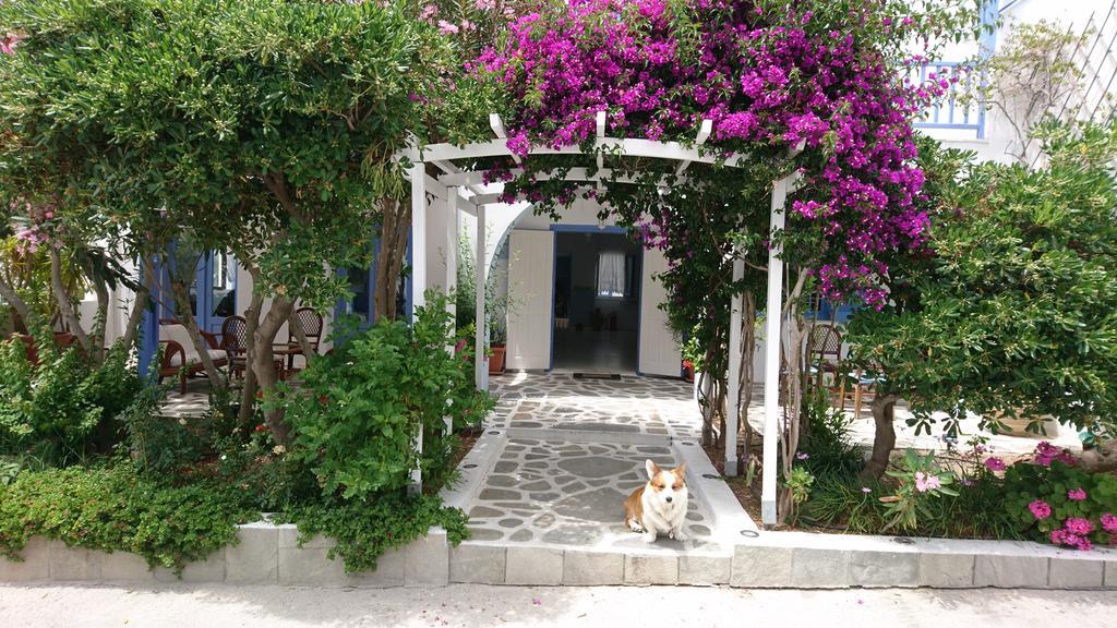 Hotel Panorama Paros Exteriér fotografie