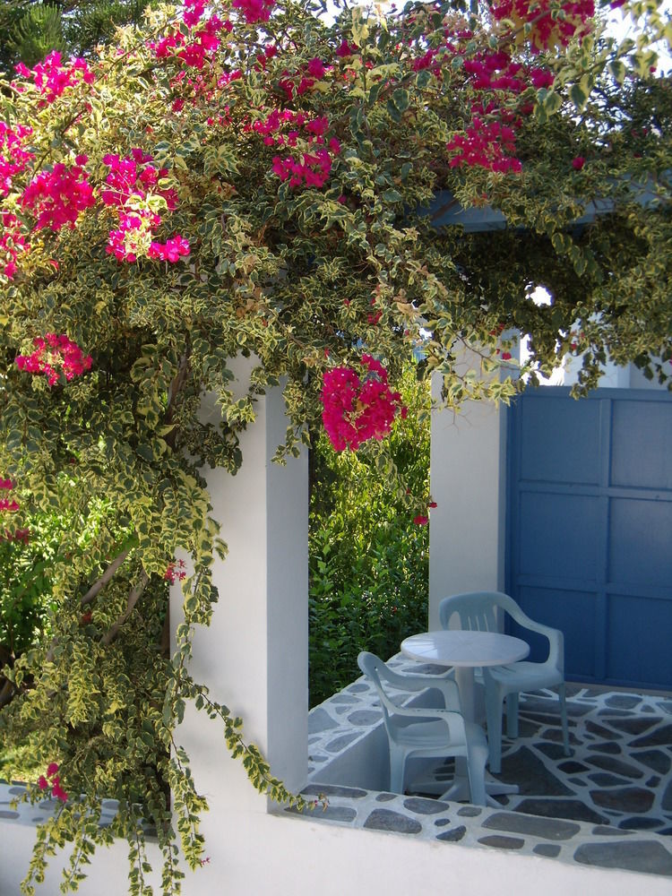 Hotel Panorama Paros Exteriér fotografie